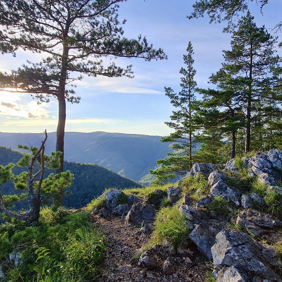 Matka Božia — zdjęcie 2