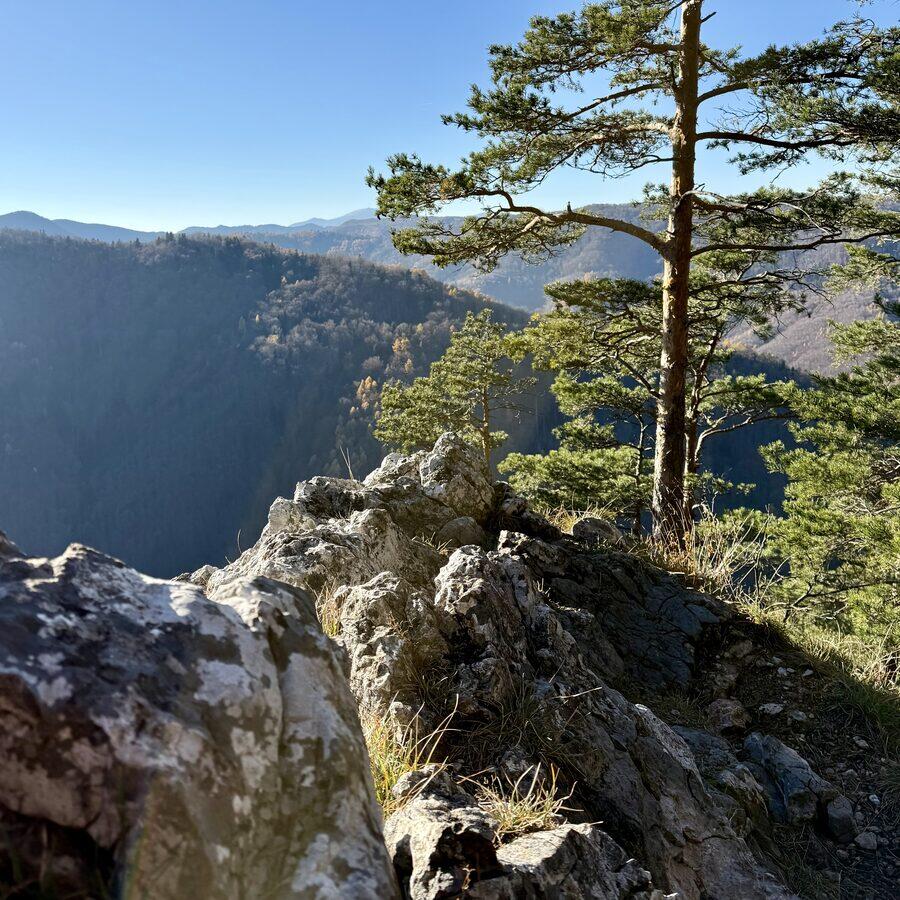 Matka Božia — zdjęcie 3