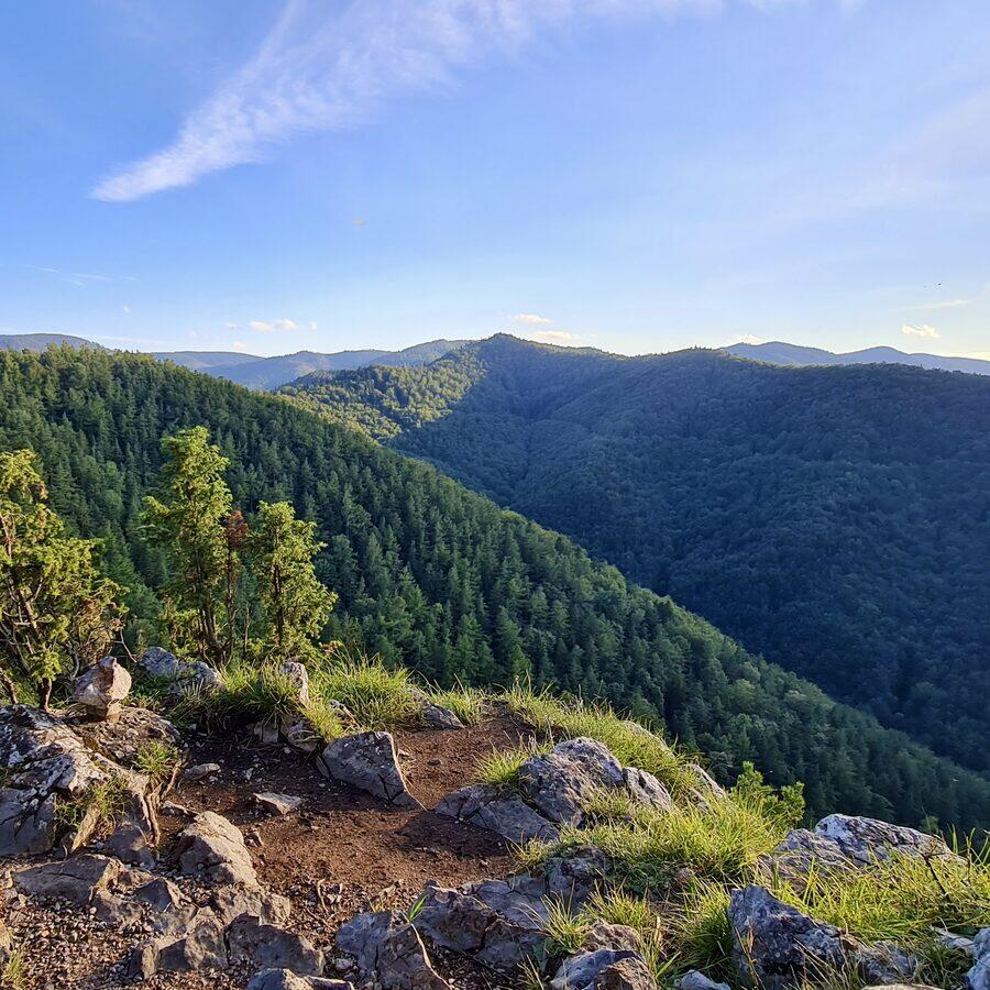 Matka Božia — zdjęcie 7